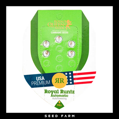 Royal Queen Seeds Royal Runtz, automatic Cannabis Samen, 5 Stück, Vorderansicht