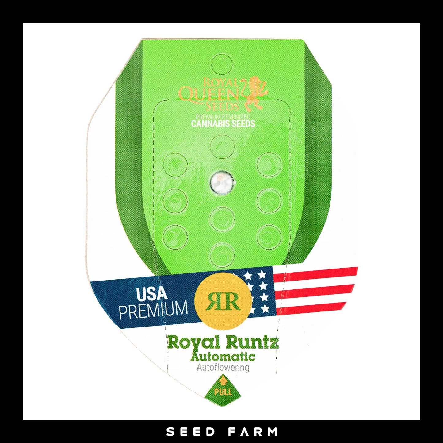 Royal Queen Seeds Royal Runtz, automatic Cannabis Samen, 1 Stück, Vorderansicht