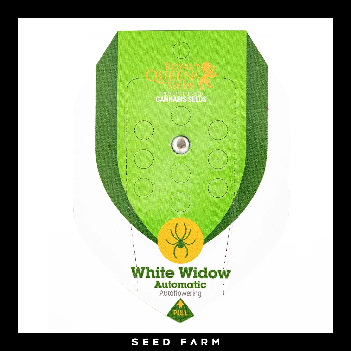 Royal Queen Seeds White Widow, automatic Cannabis Samen, Vorderansicht