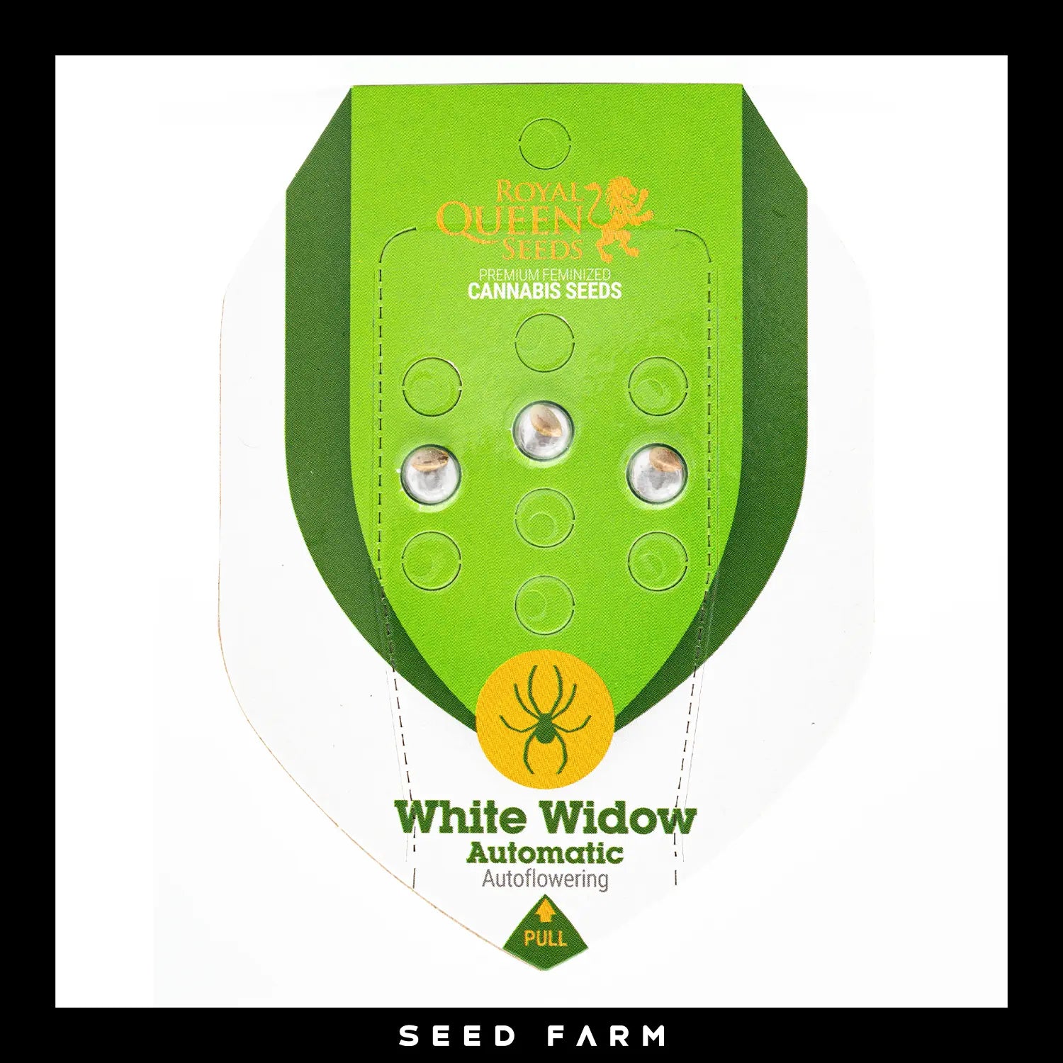 Royal Queen Seeds White Widow, automatic Cannabis Samen, 3 Stück, Vorderansicht