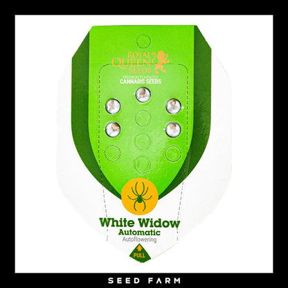 Royal Queen Seeds White Widow, automatic Cannabis Samen, 5 Stück, Vorderansicht