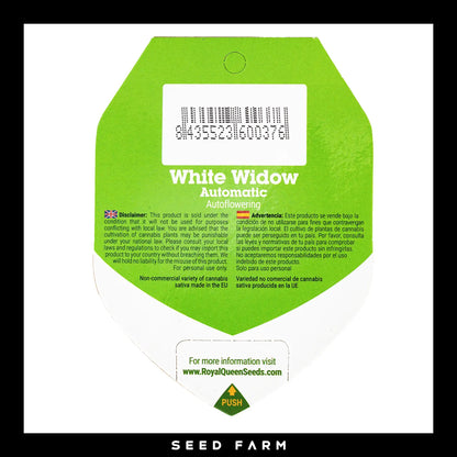 Royal Queen Seeds White Widow, automatic Cannabis Samen, Rückansicht