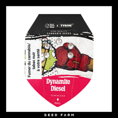 Royal Queen Seeds x Mike Tyson Dynamite Diesel, feminisierte Cannabis Samen, 5 Stück, Vorderansicht