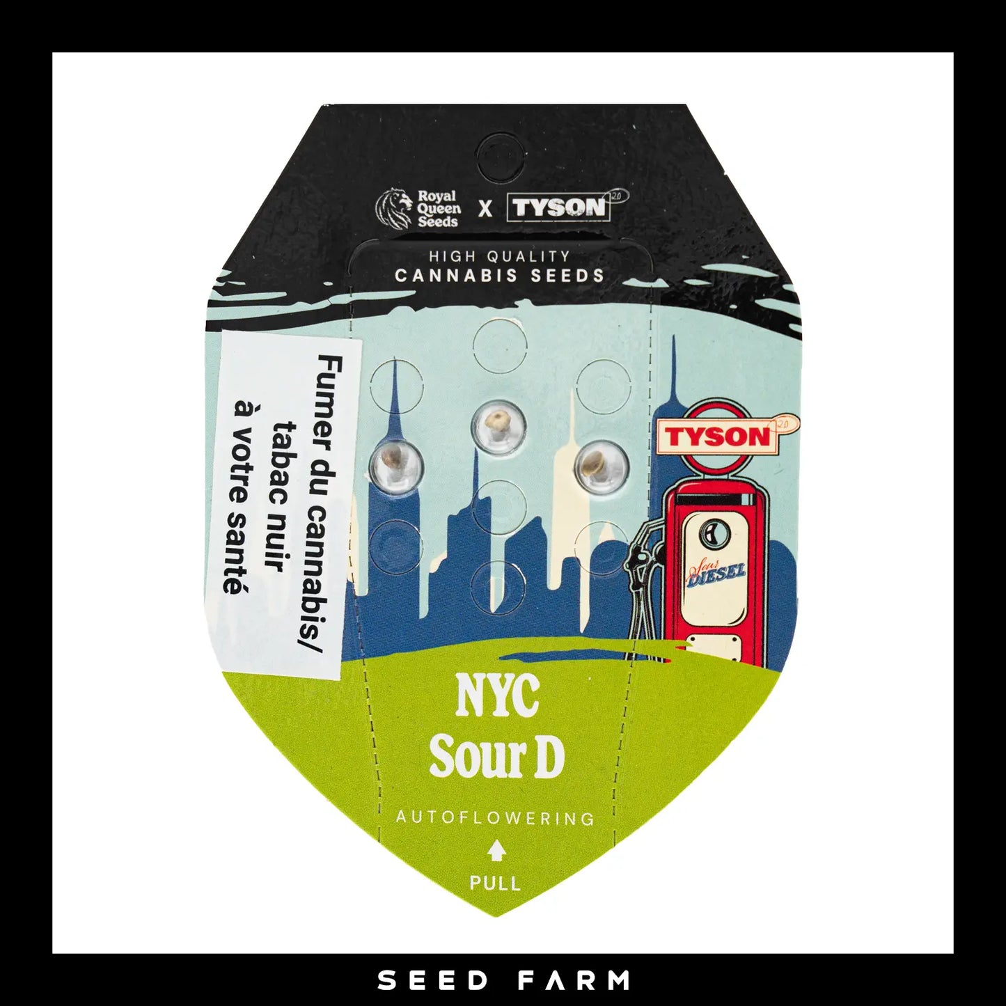 Royal Queen Seeds x Mike Tyson, New York City Sour Diesel, feminisierte Cannabis Samen, 3 Stück, Vorderansicht