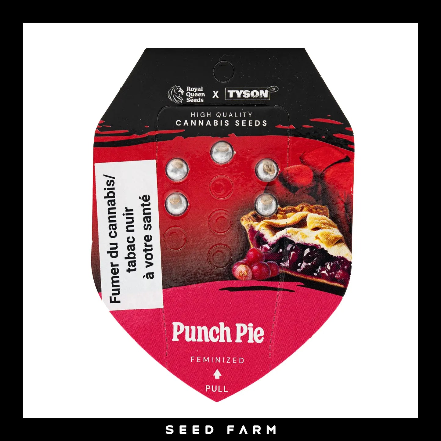 Royal Queen Seeds x Mike TysonPunch Pie, feminisierte Cannabis Samen, 5 Stück, Vorderansicht