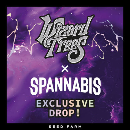 Wizard Trees Big Z, Spannabis Collection, feminisierte Cannabis Samen, 6 Stück, Exclusive Drop