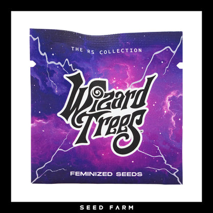 Wizard Trees Pep Z, RS Collection, feminisierte Cannabis Samen, 6 Stück, Vorderansicht