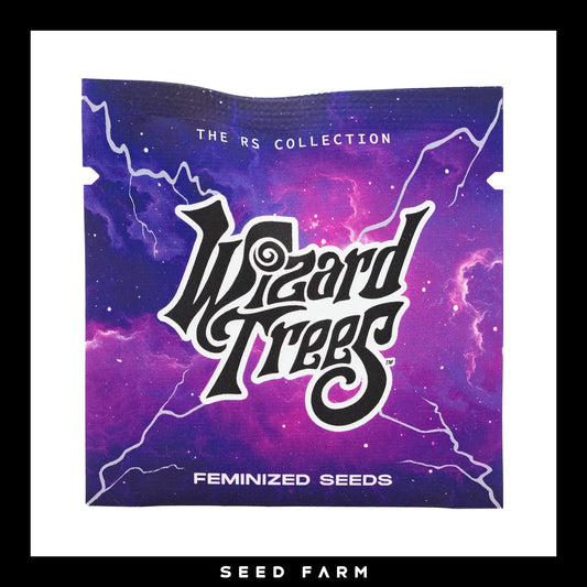 Wizard Trees Route 65, RS Collection, feminisierte Cannabis Samen, 6 Stück, Vorderansicht